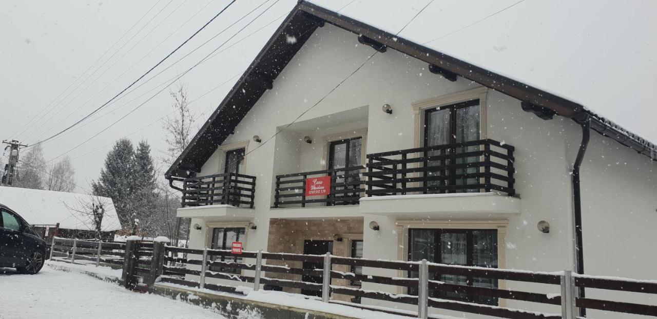 Guest house Casa Davideea Colibita